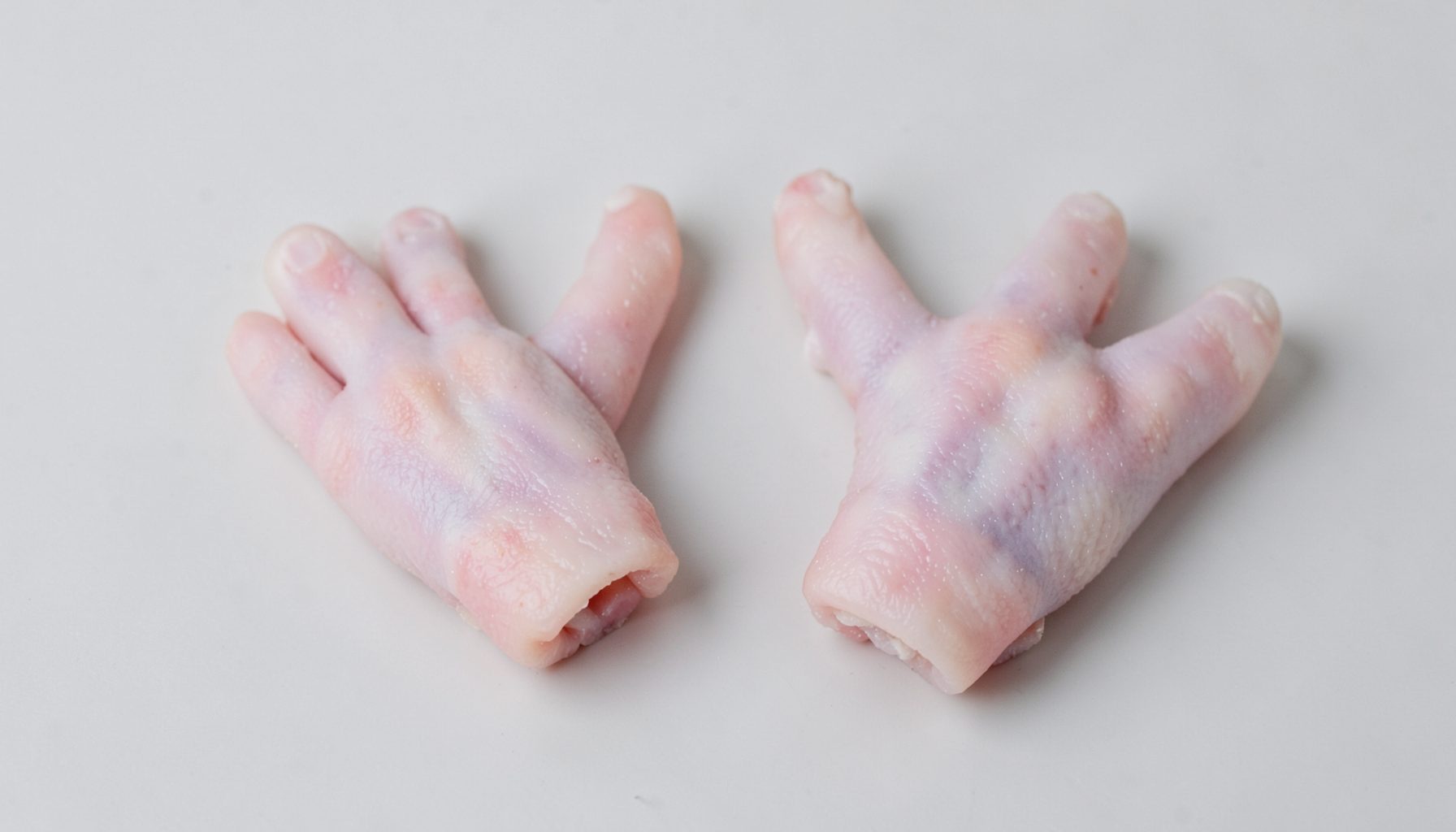 Frozen chicken paws on a neutral background, pale skin tones with clean cuts